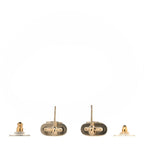 Chanel Resin Glitter Padlock CC Earrings Light Pink Gold