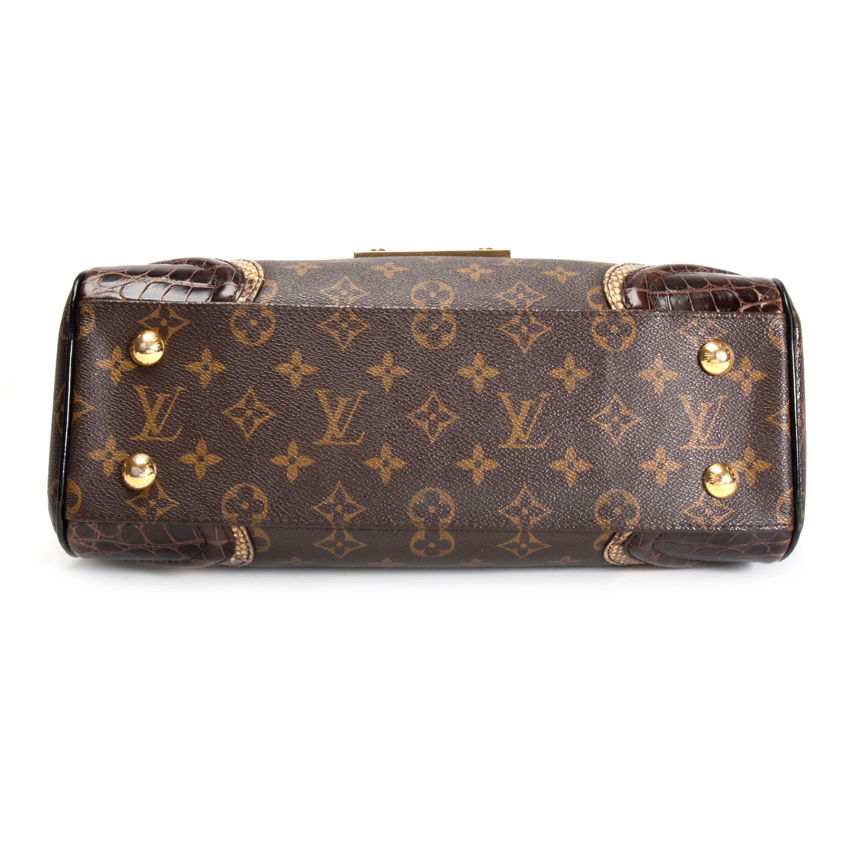 Louis Vuitton Louis Vuitton Limited Edition Monogramissime Alligator & Python Bag
