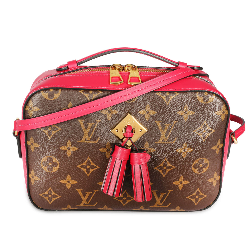 Louis Vuitton Louis Vuitton Monogram Canvas & Freesia Saintonge Bag