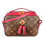 Louis Vuitton Louis Vuitton Monogram Canvas & Freesia Saintonge Bag