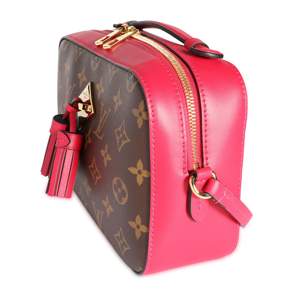 Louis Vuitton Louis Vuitton Monogram Canvas & Freesia Saintonge Bag