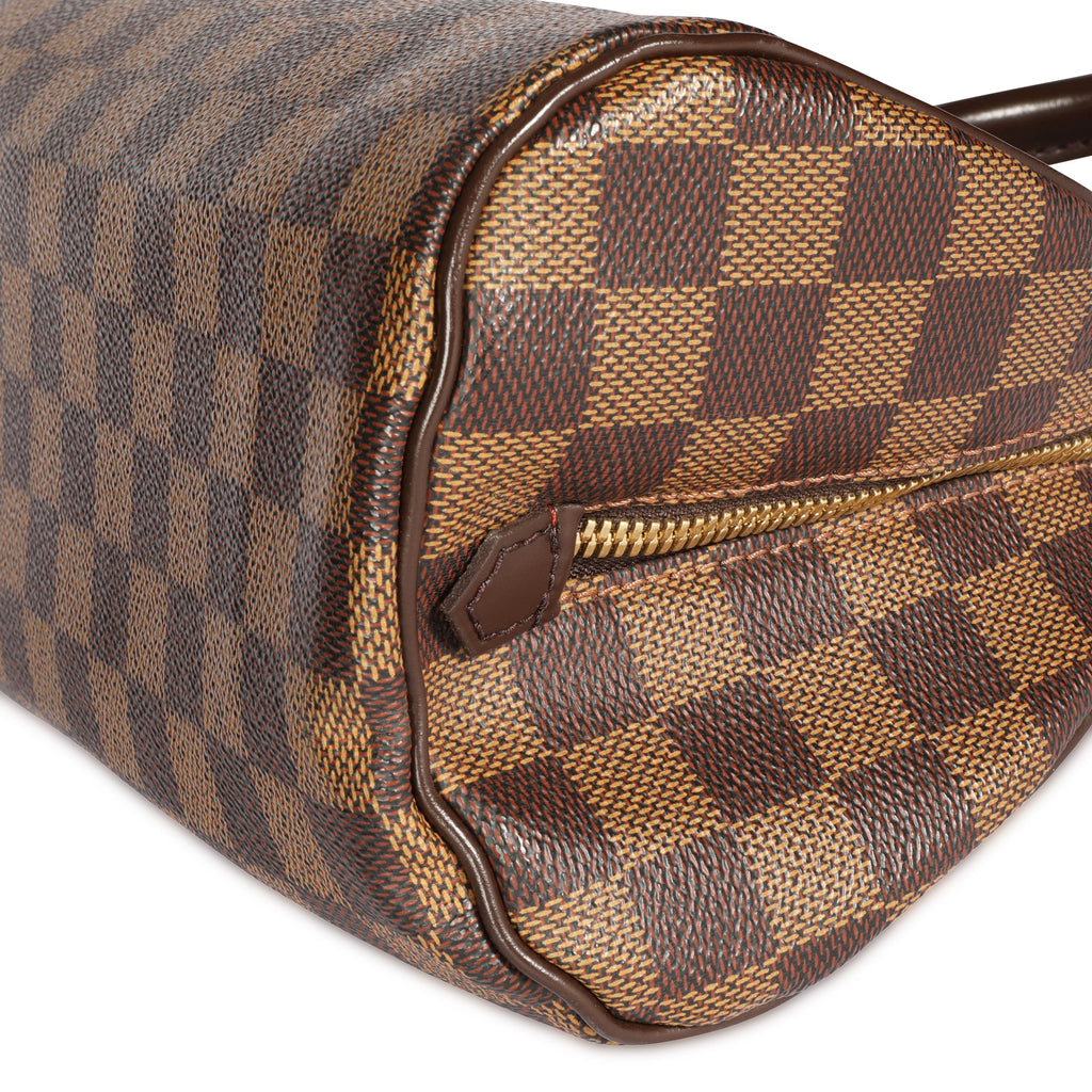 Louis Vuitton Louis Vuitton Damier Ebene Mini Ribera Bag