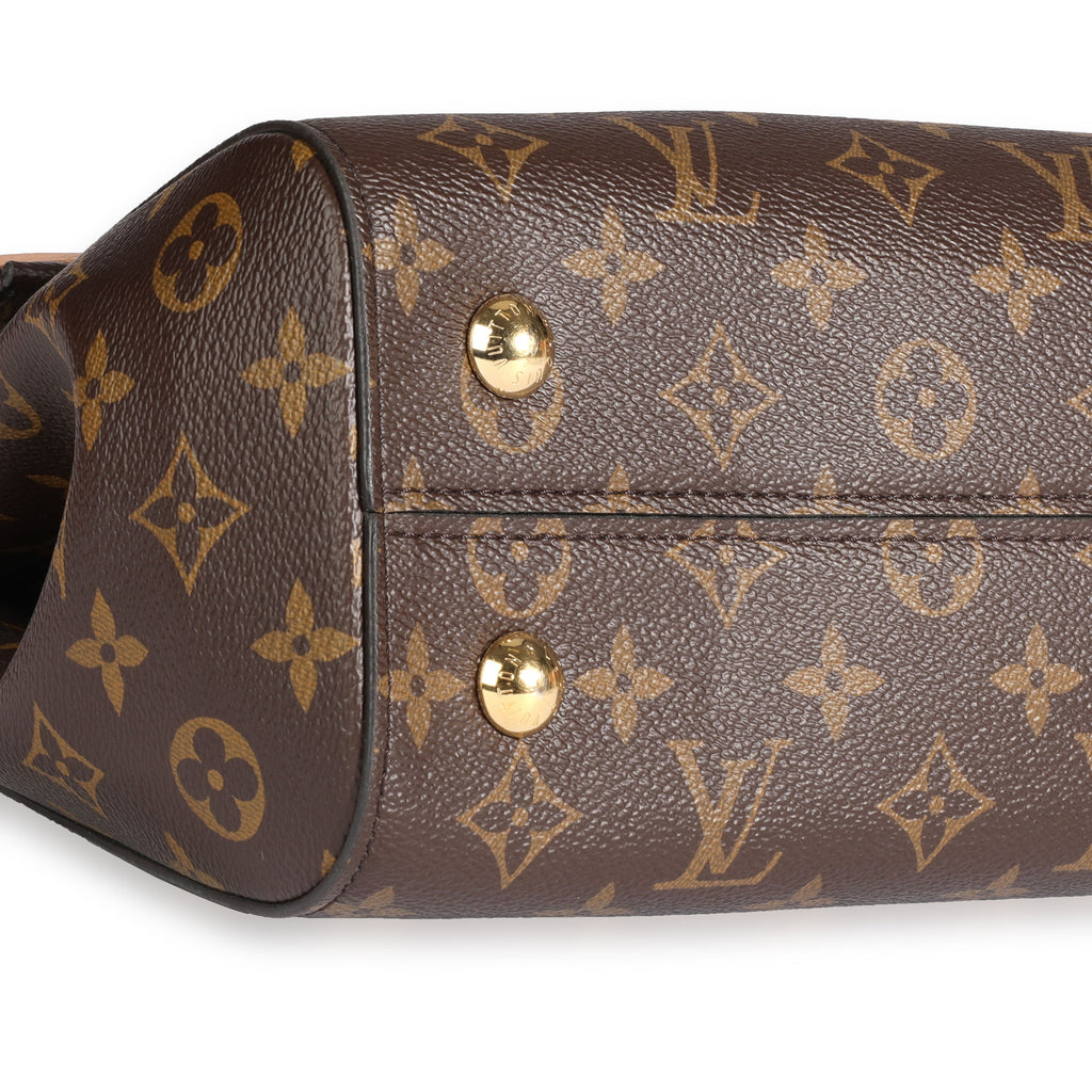 Louis Vuitton Louis Vuitton Monogram Canvas Cluny MM