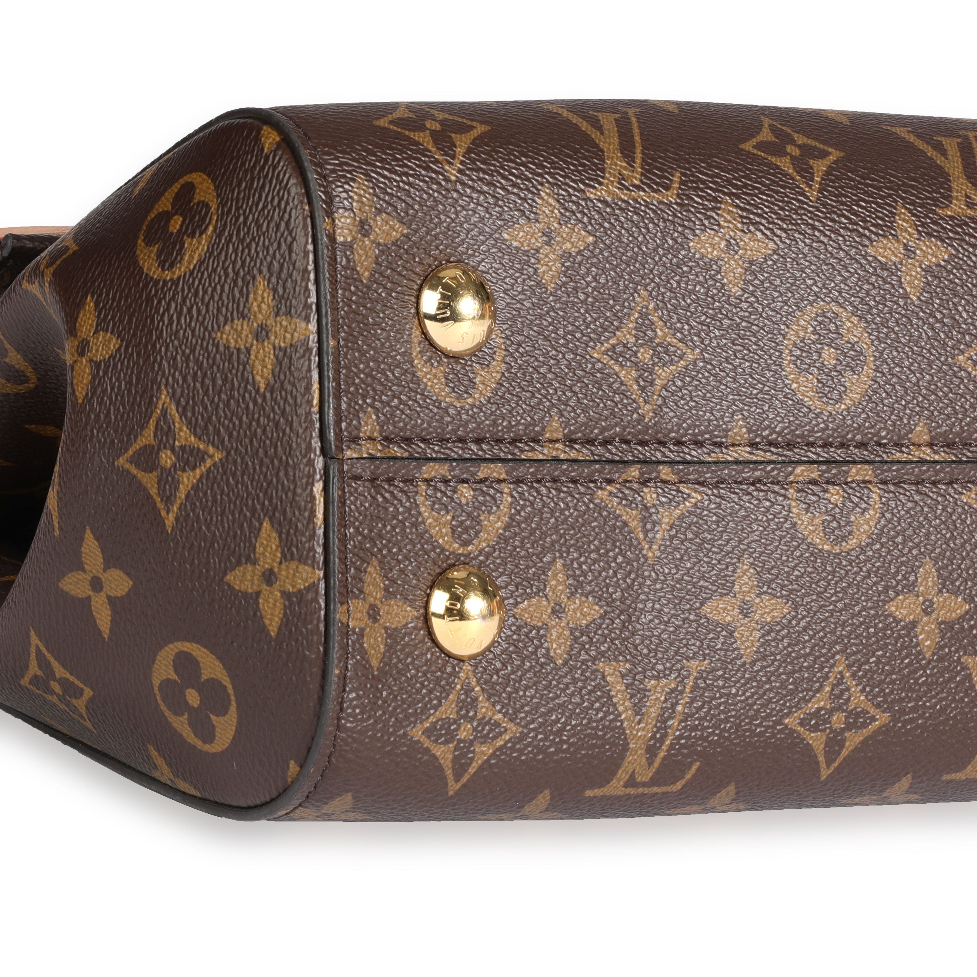 Louis Vuitton Louis Vuitton Monogram Canvas Cluny MM