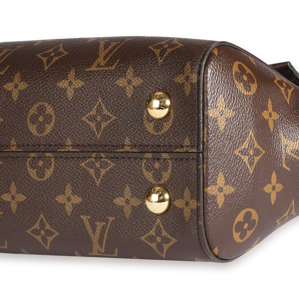 Louis Vuitton Louis Vuitton Monogram Canvas Cluny MM