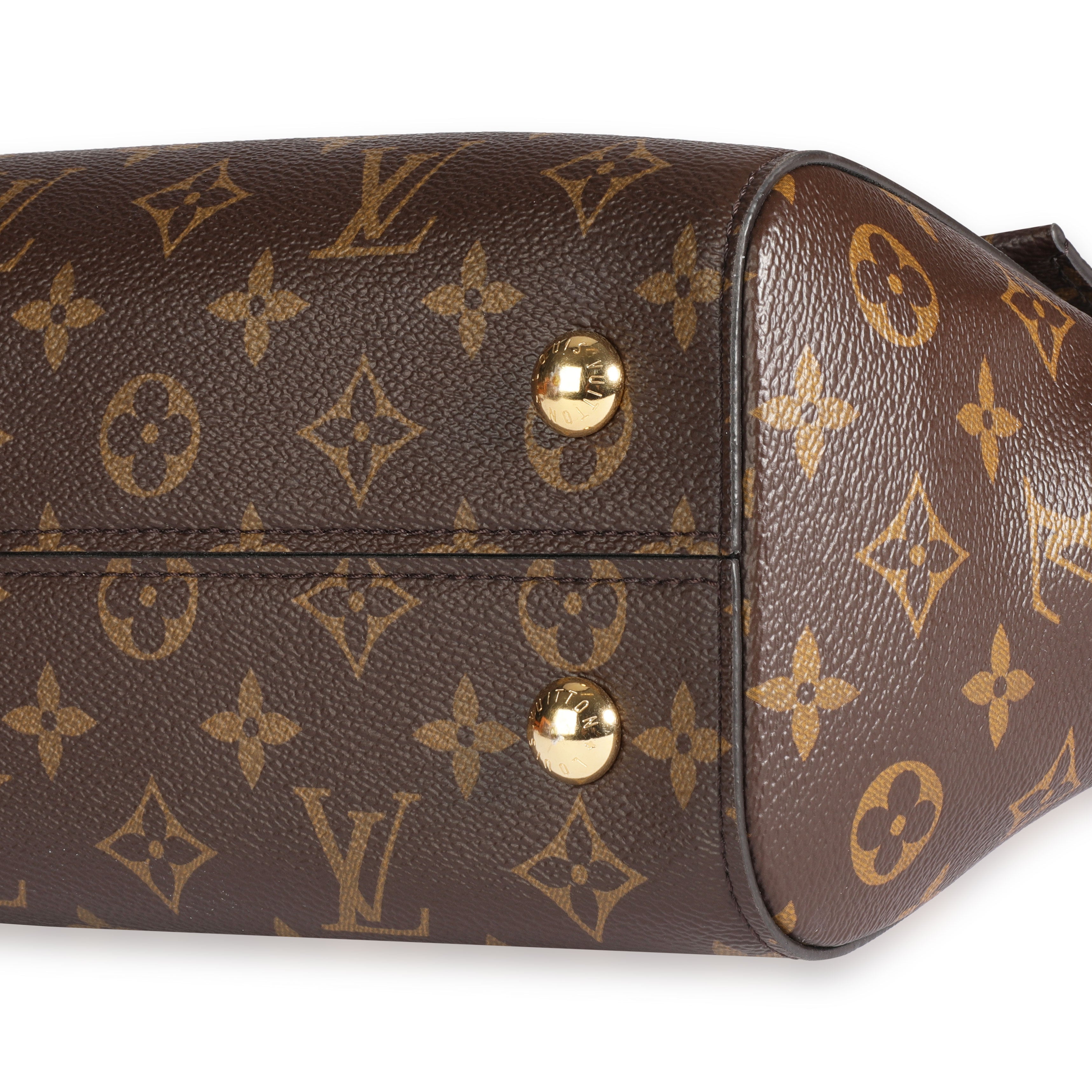 Louis Vuitton Louis Vuitton Monogram Canvas Cluny MM