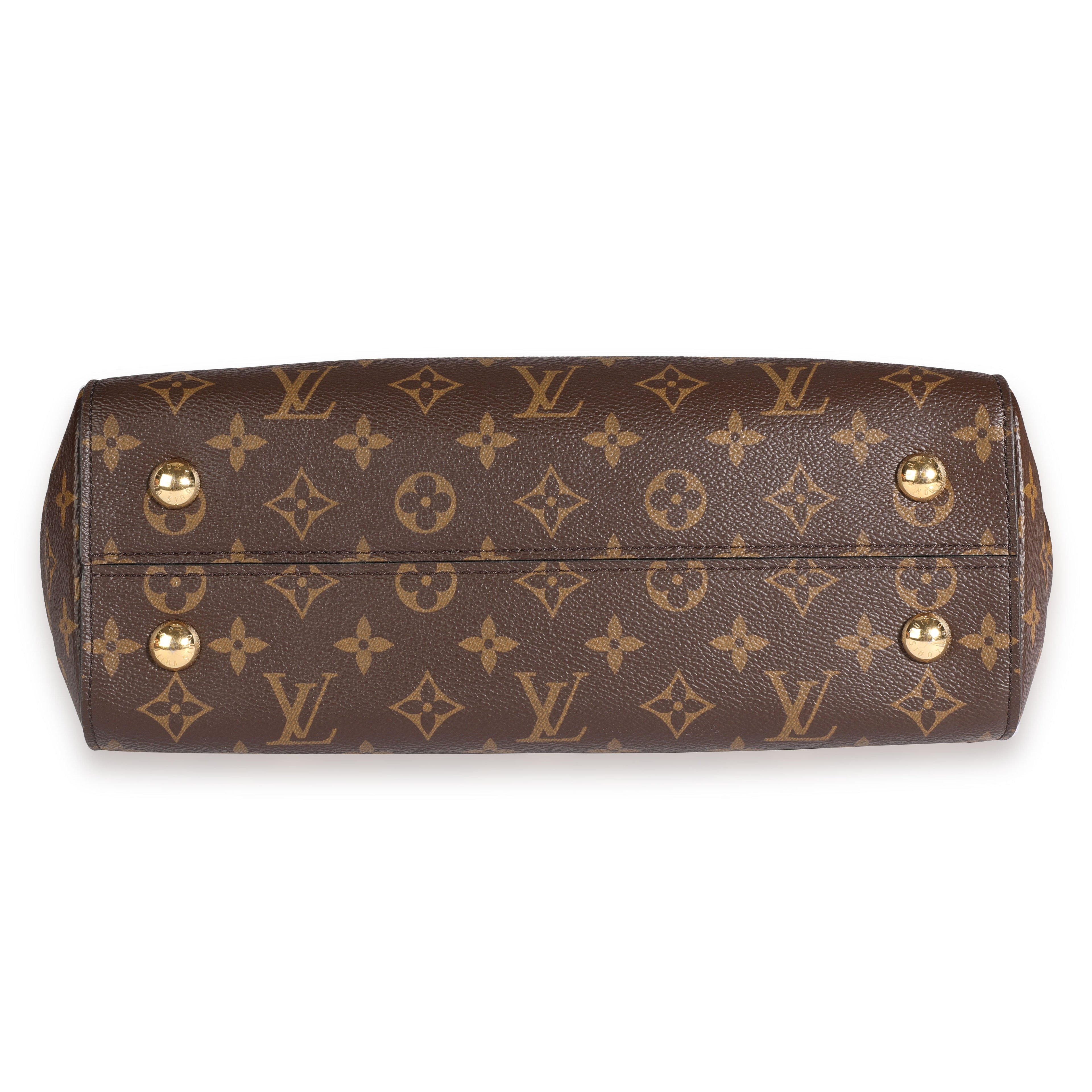 Louis Vuitton Louis Vuitton Monogram Canvas Cluny MM