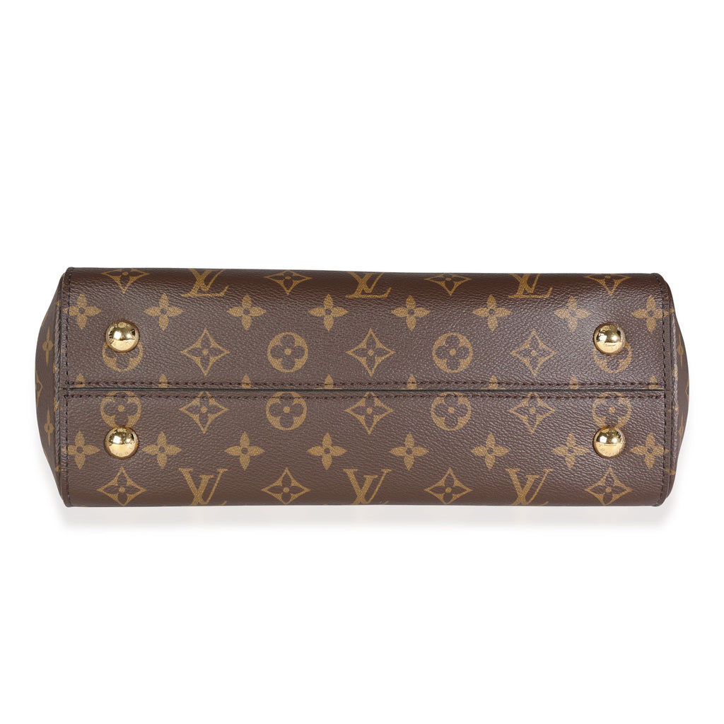 Louis Vuitton Louis Vuitton Brown Monogram Canvas Cluny MM