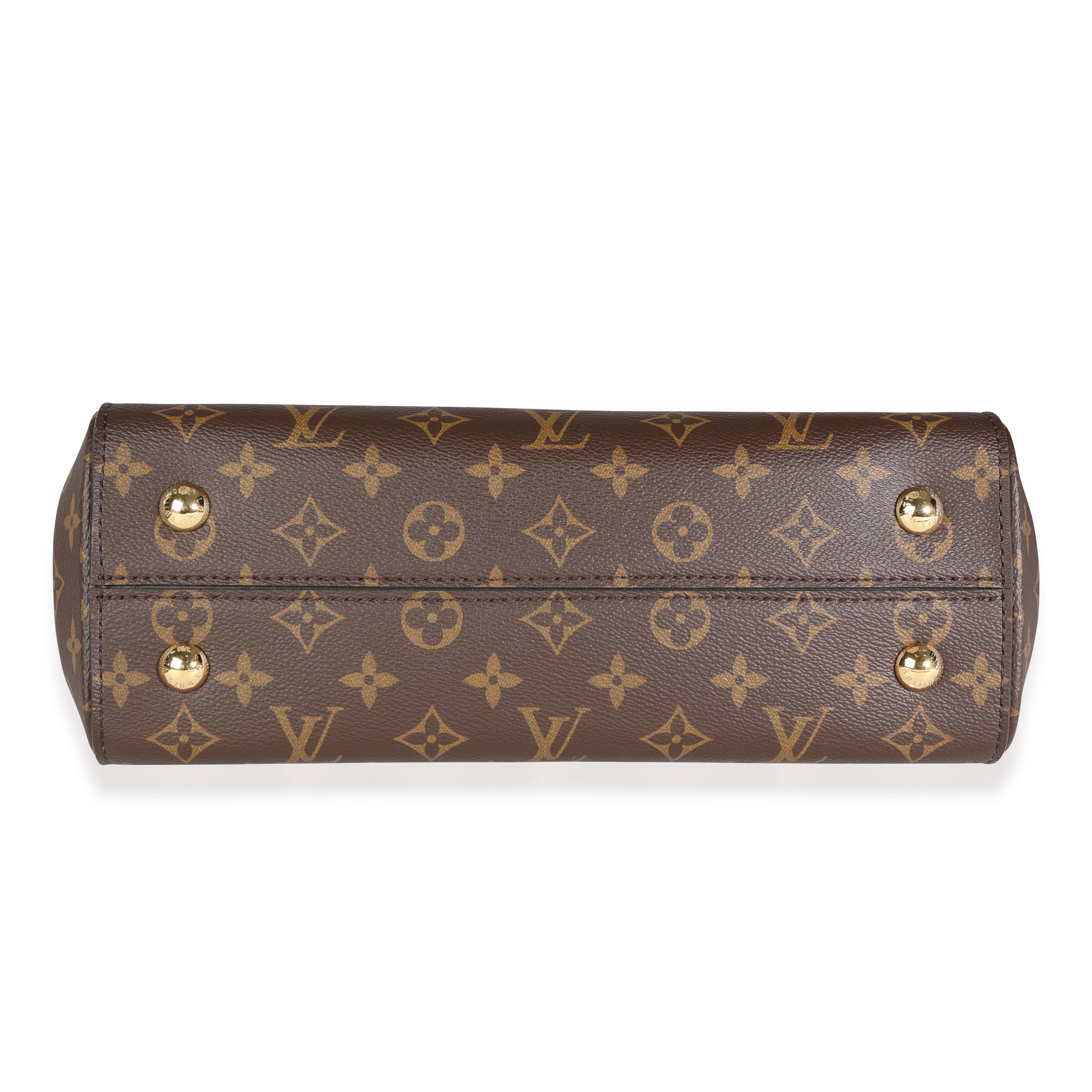 Louis Vuitton Louis Vuitton Brown Monogram Canvas Cluny MM