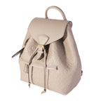 Louis Vuitton Louis Vuitton Turtledove Monogram Empreinte Montsouris Backpack