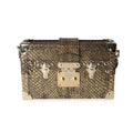 Louis Vuitton Louis Vuitton Distressed Metallic Gold Python Petite Malle