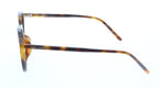 Saint Laurent SL 782/K-003 Understated Glow: Havana Tortoiseshell Round