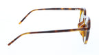 Saint Laurent SL 782/K-003 Understated Glow: Havana Tortoiseshell Round