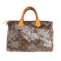 Louis Vuitton Louis Vuitton Monogram Dentelle Speedy 30