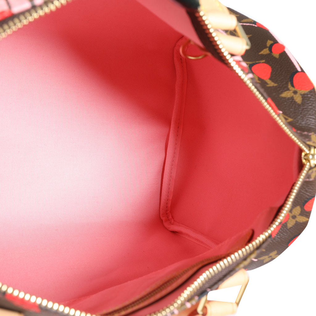 Louis Vuitton Louis Vuitton Limited Edition Sugar & Poppy Jungle Dots Monogram Speedy 30