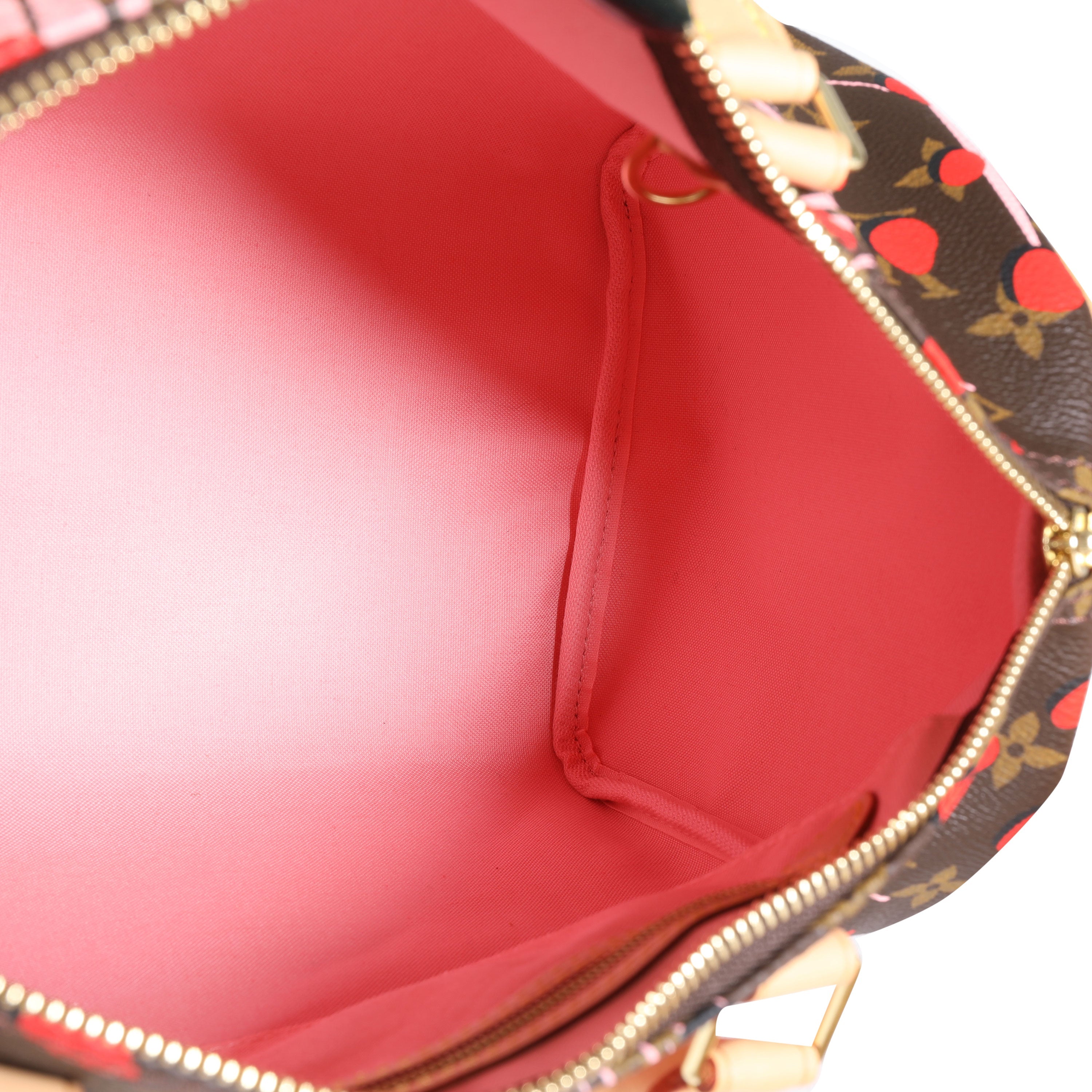 Louis Vuitton Louis Vuitton Limited Edition Sugar & Poppy Jungle Dots Monogram Speedy 30