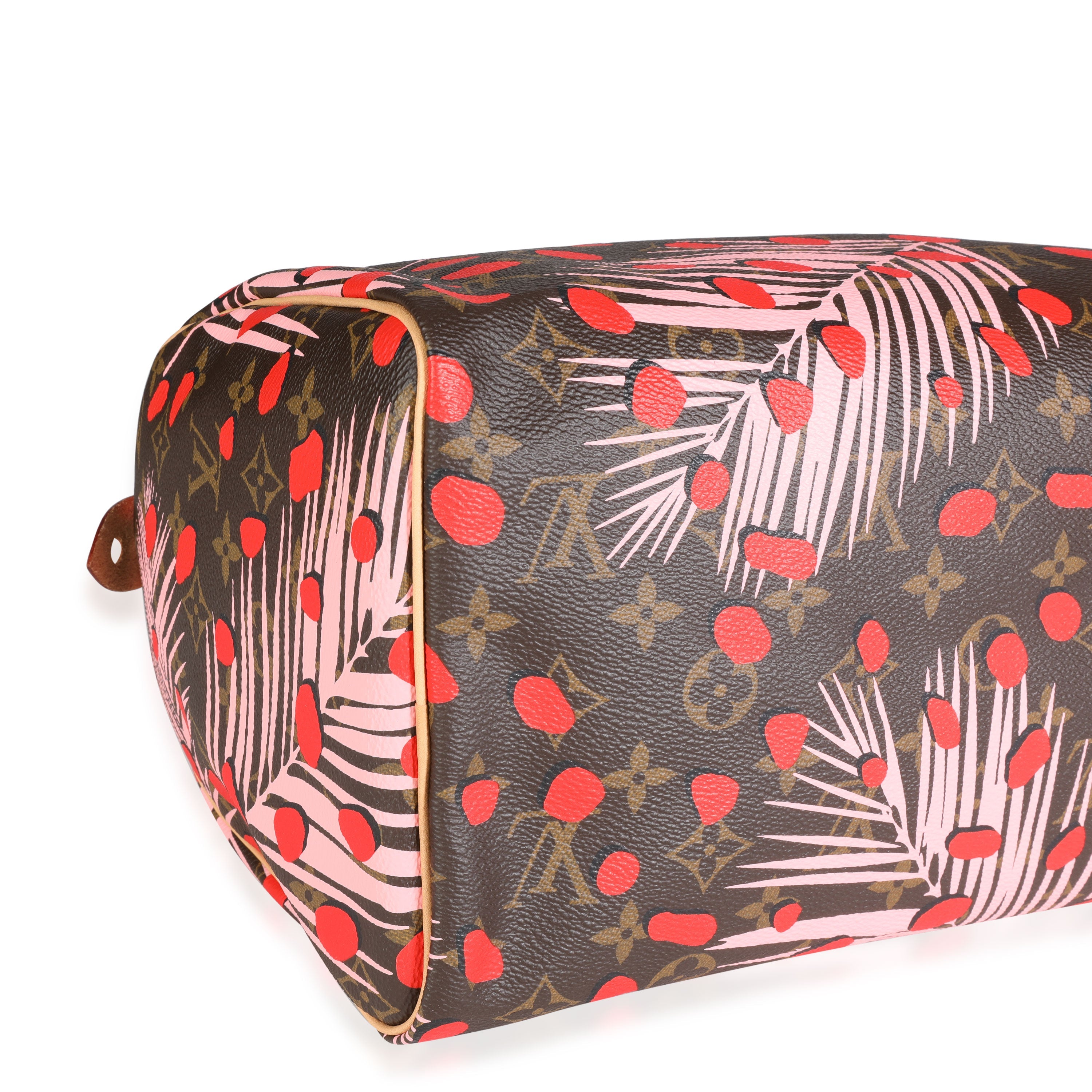 Louis Vuitton Louis Vuitton Limited Edition Sugar & Poppy Jungle Dots Monogram Speedy 30