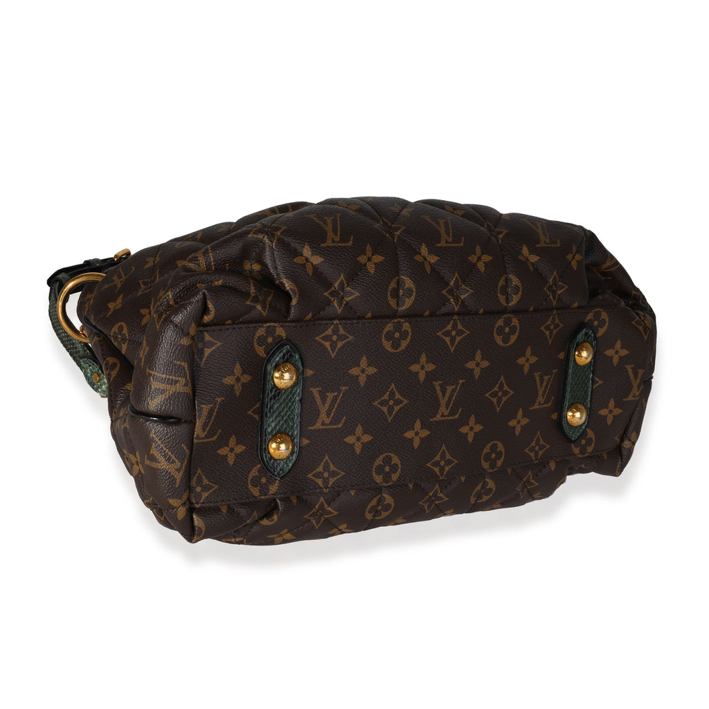 Louis Vuitton Louis Vuitton Monogram Canvas Etoile Exotique MM
