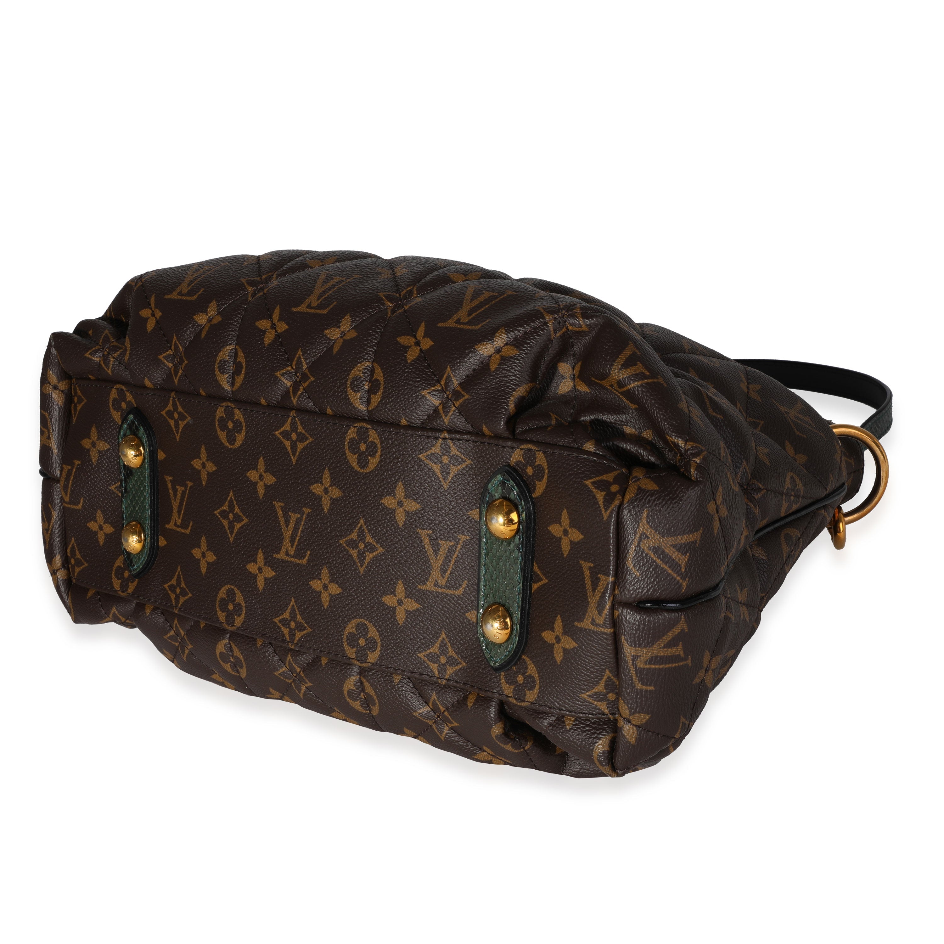 Louis Vuitton Louis Vuitton Monogram Canvas Etoile Exotique MM