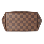 Louis Vuitton Louis Vuitton Damier Ebene & Magnolia Calfskin Clapton Backpack