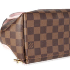 Louis Vuitton Louis Vuitton Damier Ebene & Magnolia Calfskin Clapton Backpack