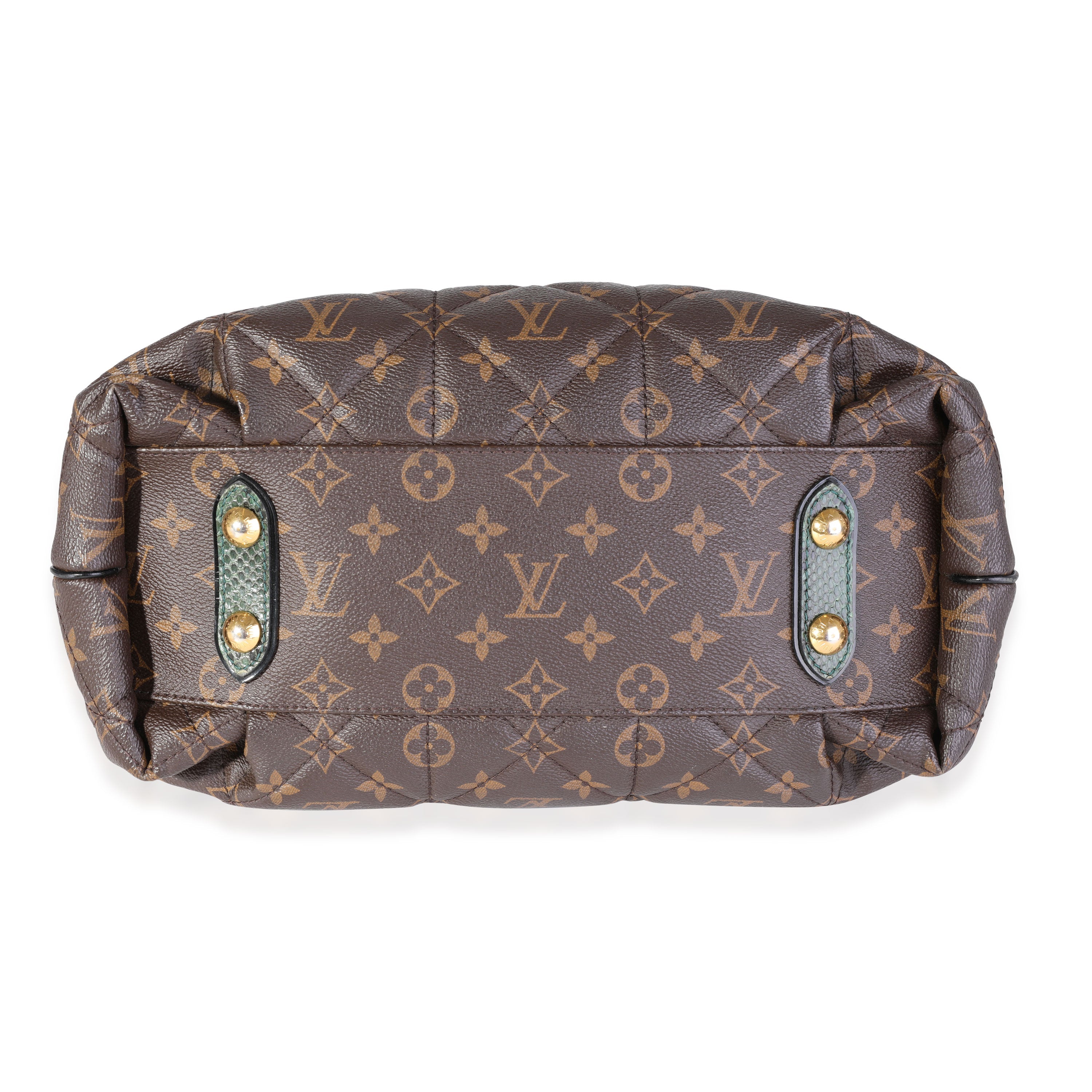 Louis Vuitton Louis Vuitton Monogram Canvas & Python Etoile Exotique Bag