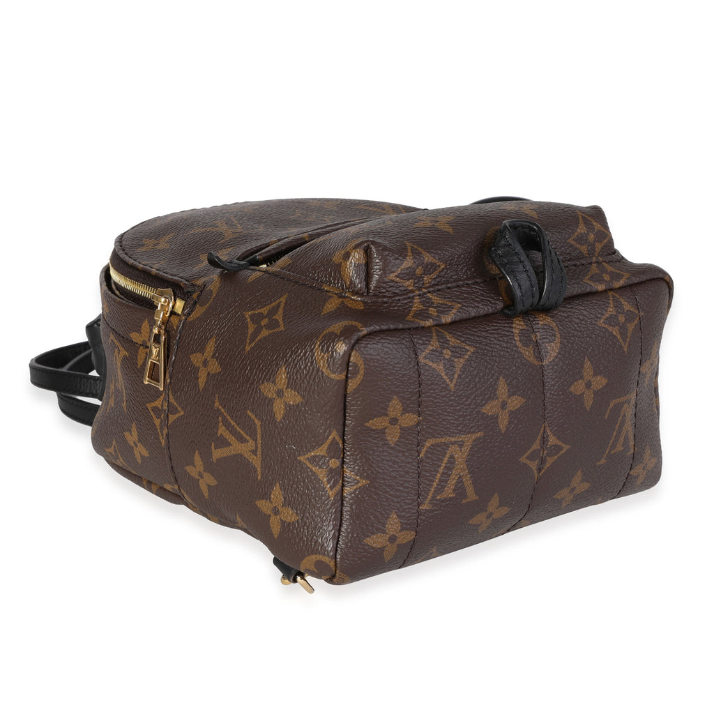 Louis Vuitton Louis Vuitton Monogram Canvas Palm Springs Mini Backpack