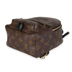 Louis Vuitton Louis Vuitton Monogram Canvas Palm Springs Mini Backpack