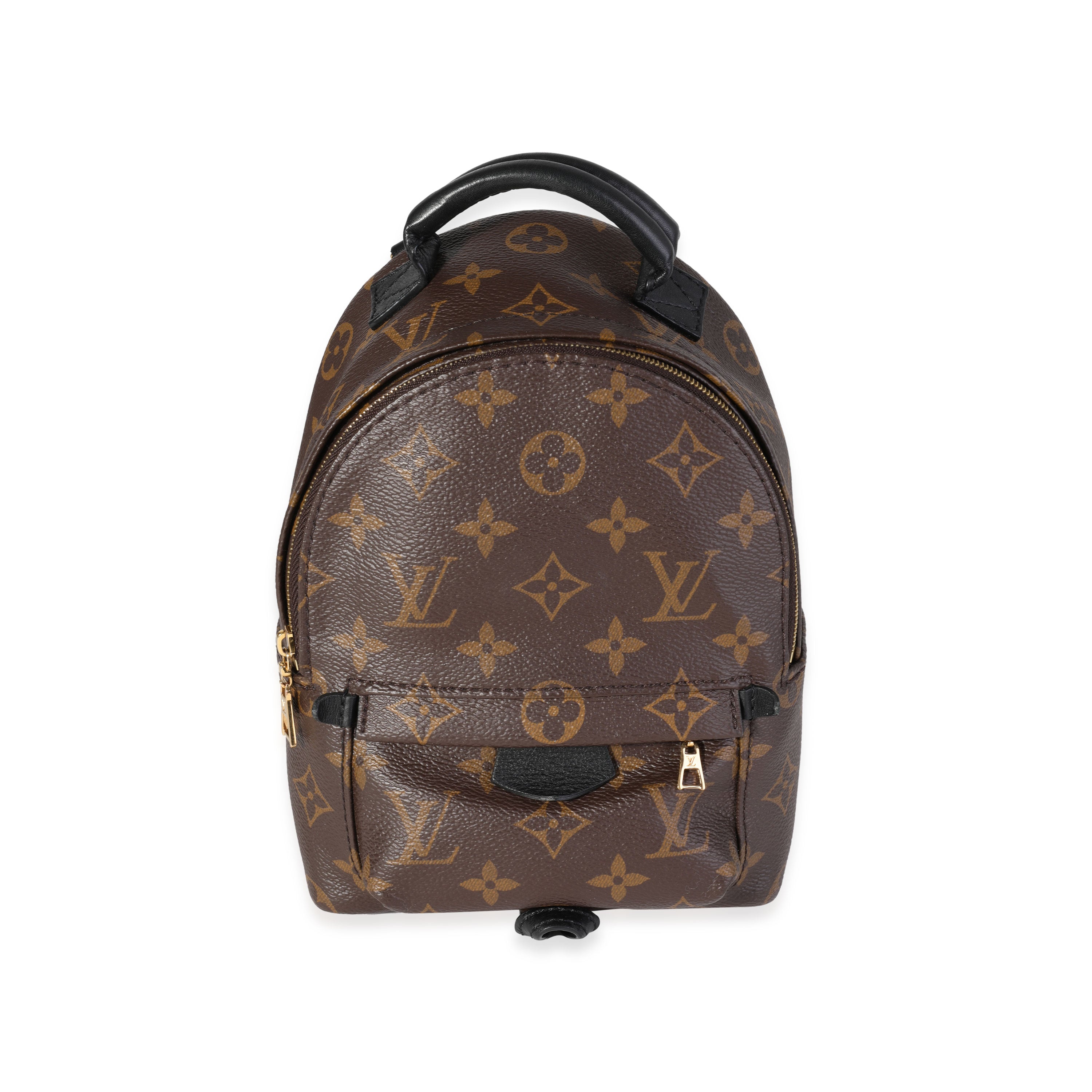 Louis Vuitton Louis Vuitton Monogram Canvas Palm Springs Mini Backpack