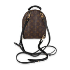Louis Vuitton Louis Vuitton Monogram Canvas Palm Springs Mini Backpack