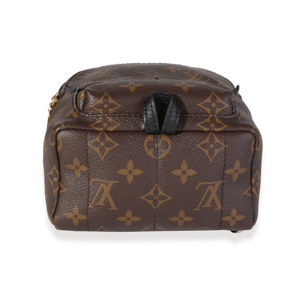 Louis Vuitton Louis Vuitton Monogram Canvas Palm Springs Mini Backpack