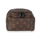 Louis Vuitton Louis Vuitton Monogram Canvas Palm Springs Mini Backpack