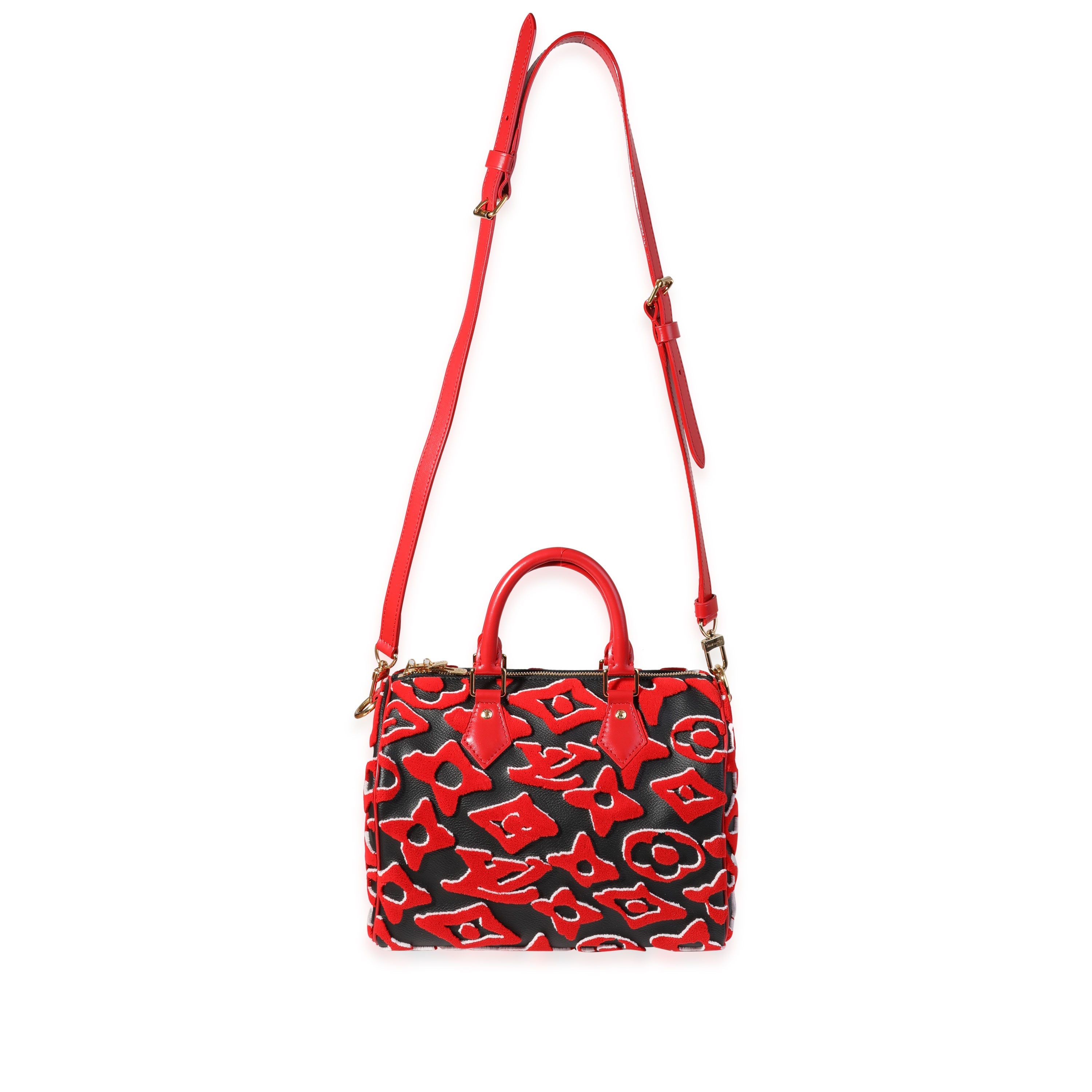 Louis Vuitton Louis Vuitton x Urs Fischer Limited Black & Red Tufted Monogram Canvas Speedy 25