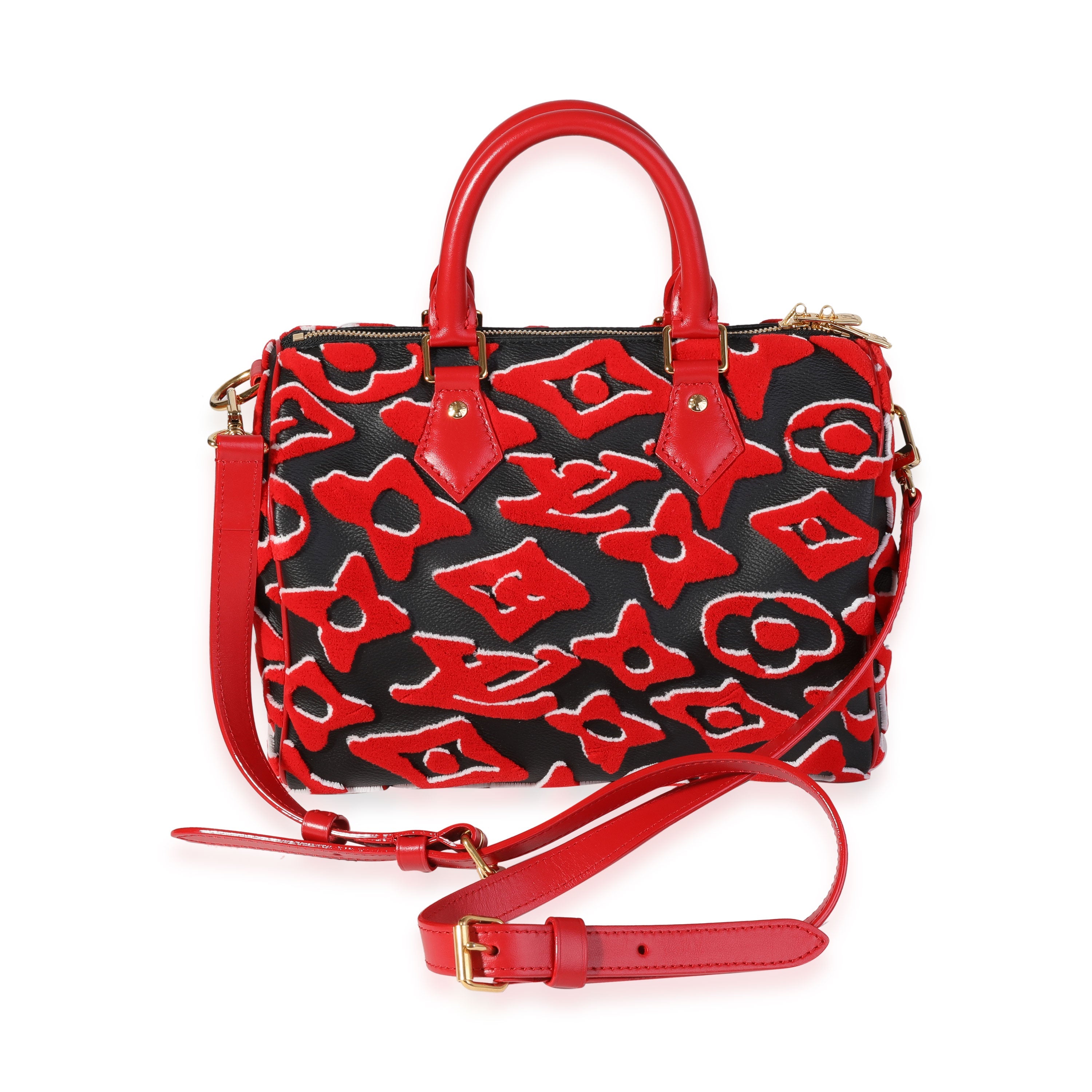 Louis Vuitton Louis Vuitton x Urs Fischer Limited Black & Red Tufted Monogram Canvas Speedy 25