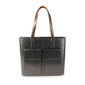 Louis Vuitton Louis Vuitton Grey Mat Monogram Leather Wildwood Bag