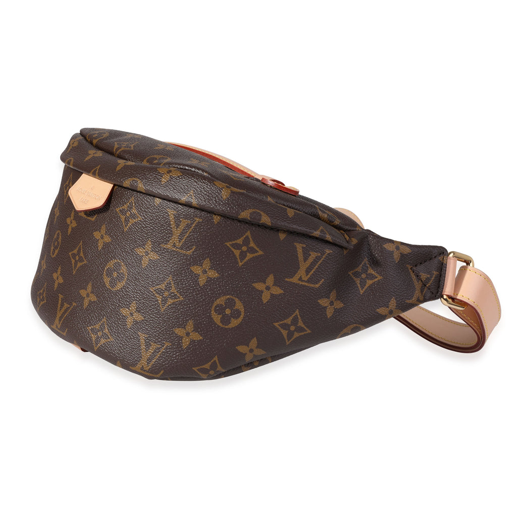 Louis Vuitton Louis Vuitton Monogram Canvas Bumbag