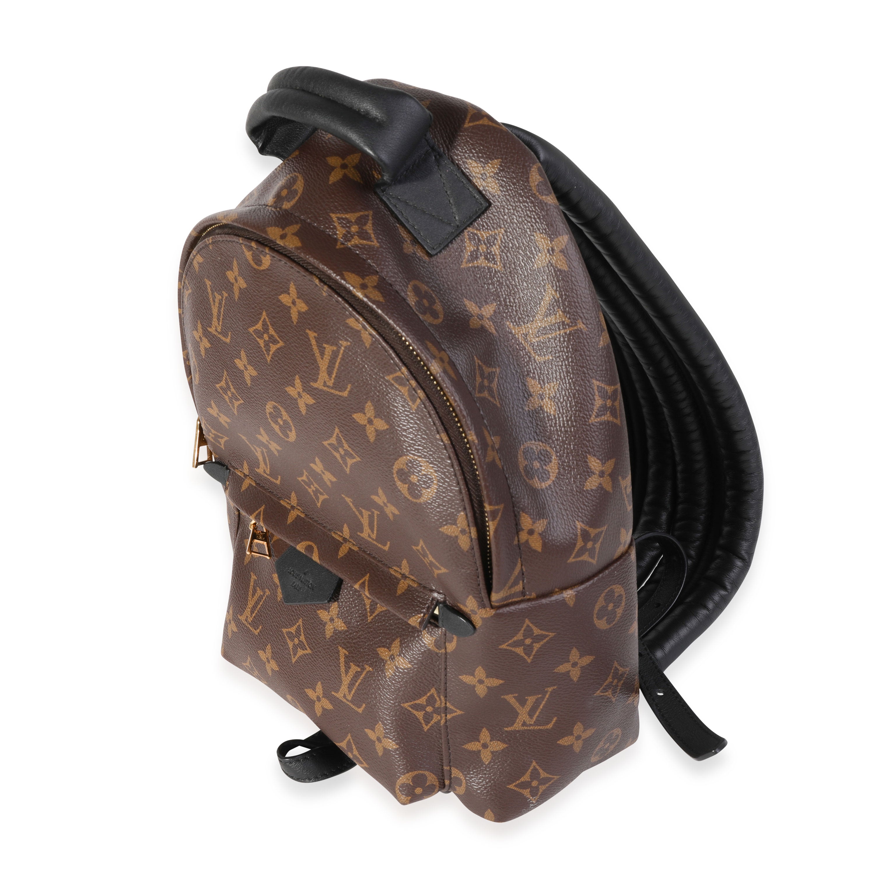 Louis Vuitton Louis Vuitton Monogram Canvas Palm Springs PM