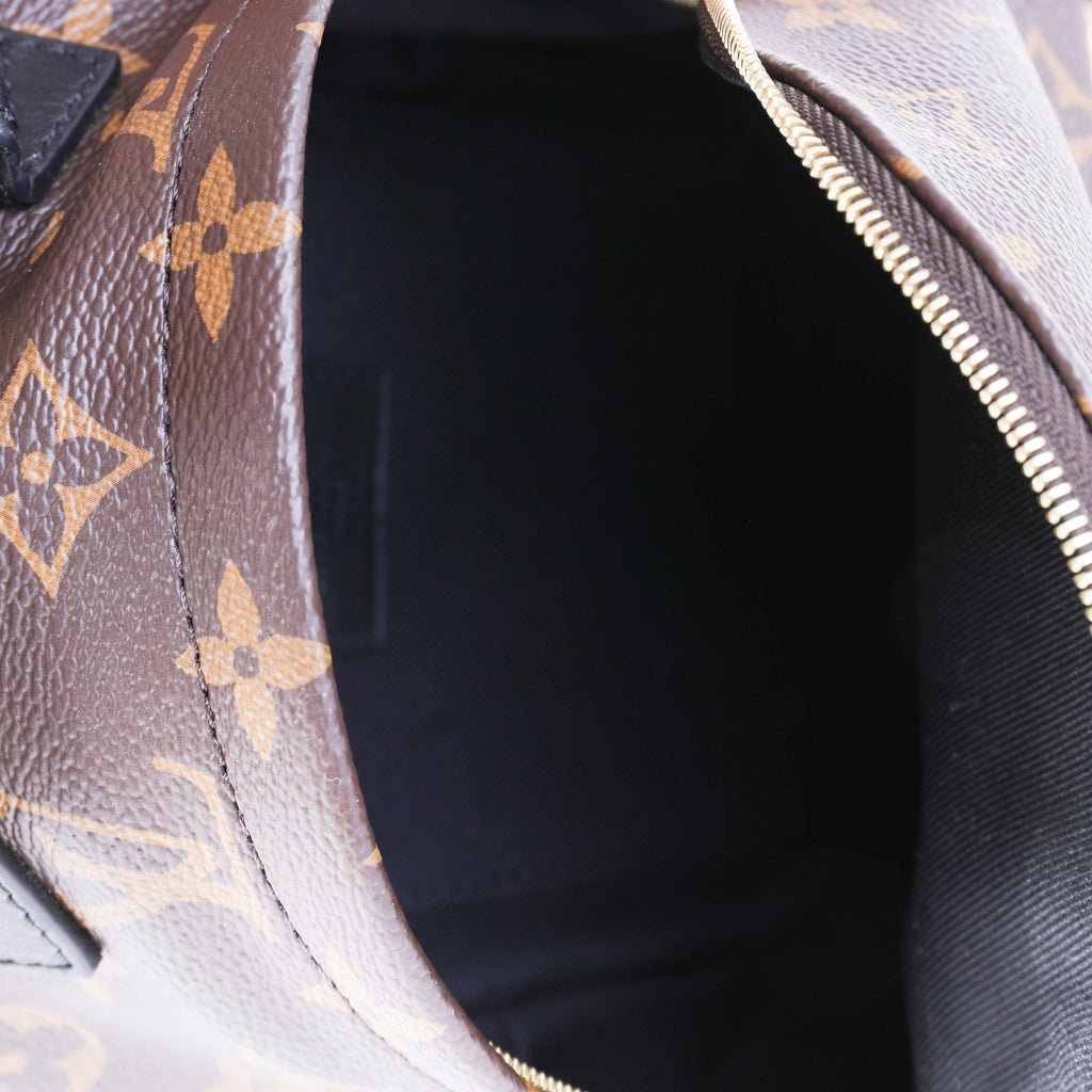 Louis Vuitton Louis Vuitton Monogram Canvas Palm Springs Mini Backpack