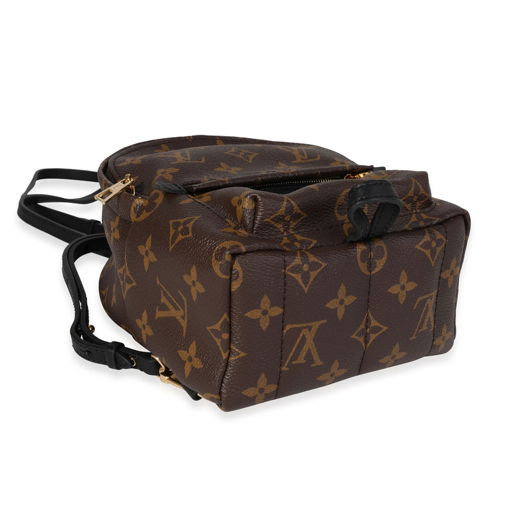 Louis Vuitton Louis Vuitton Monogram Canvas Palm Springs Mini Backpack