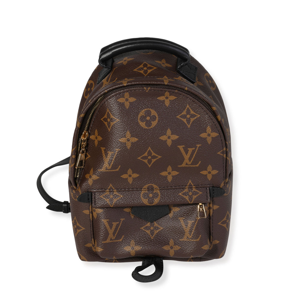 Louis Vuitton Louis Vuitton Monogram Canvas Palm Springs Mini Backpack