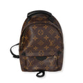 Louis Vuitton Louis Vuitton Monogram Canvas Palm Springs Mini Backpack