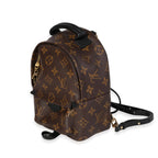 Louis Vuitton Louis Vuitton Monogram Canvas Palm Springs Mini Backpack