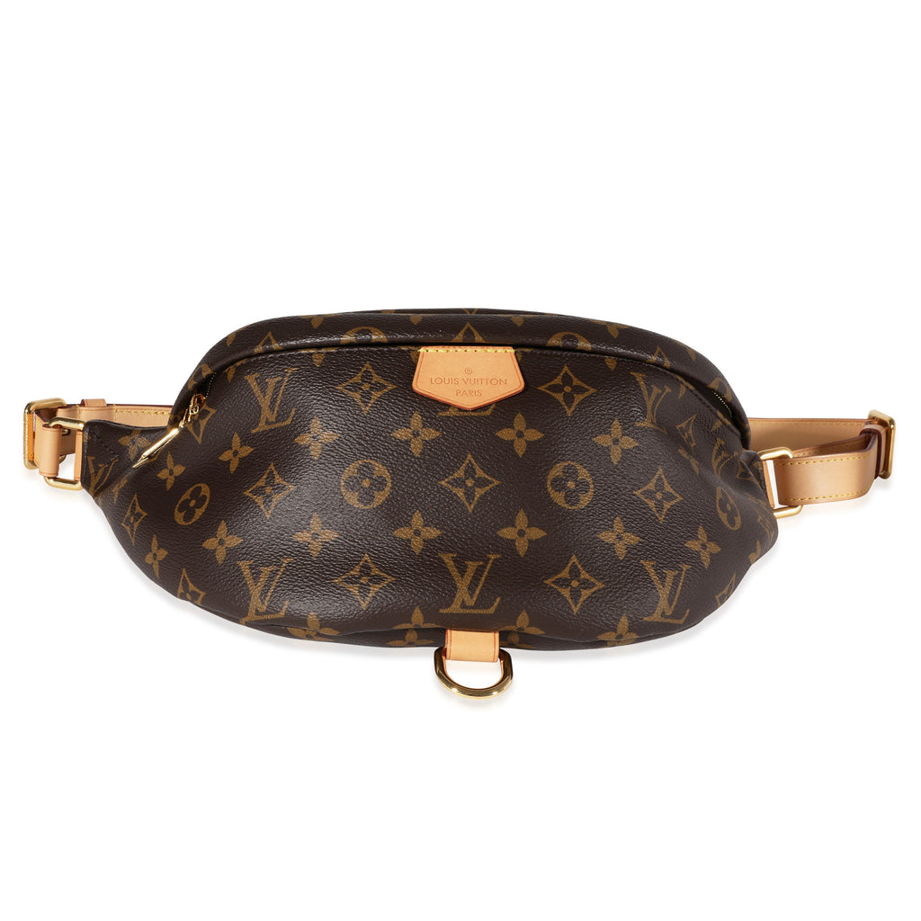 Louis Vuitton Louis Vuitton Monogram Canvas Bumbag