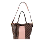 Louis Vuitton Louis Vuitton Damier Ebene & Magnolia Jersey Tote