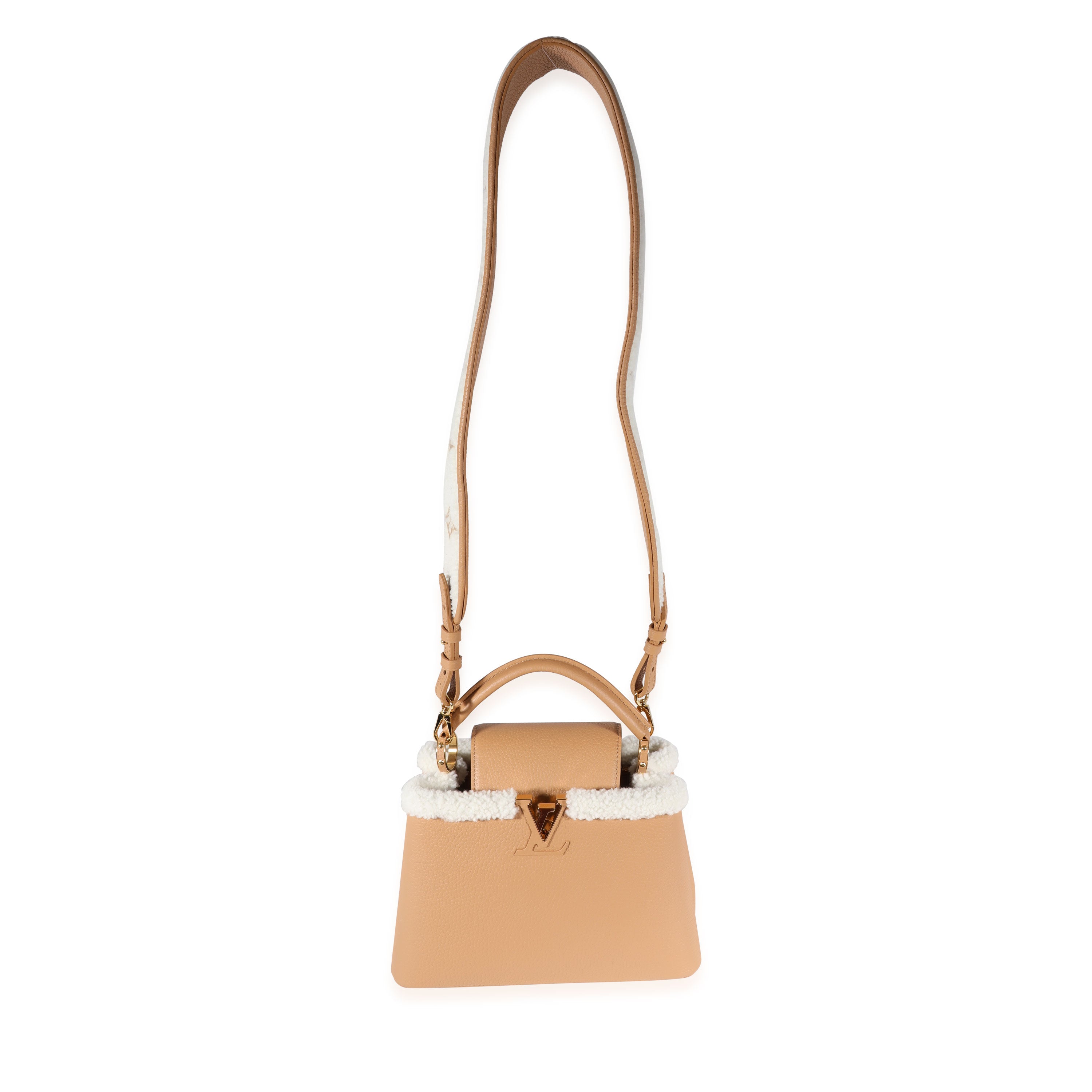 Louis Vuitton Louis Vuitton Arizona Taurillon & Shearling Capucines BB
