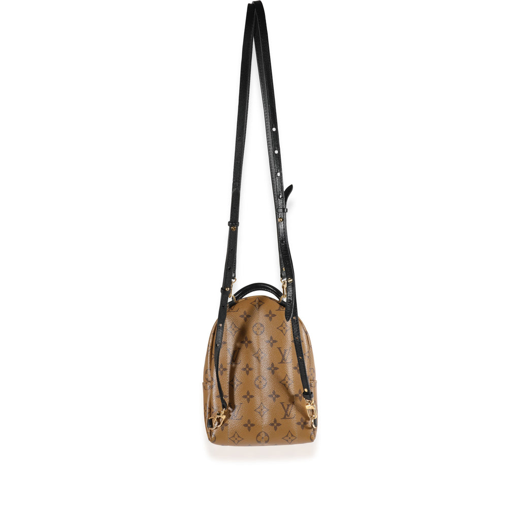 Louis Vuitton Louis Vuitton Monogram Reverse Palm Springs Mini Backpack