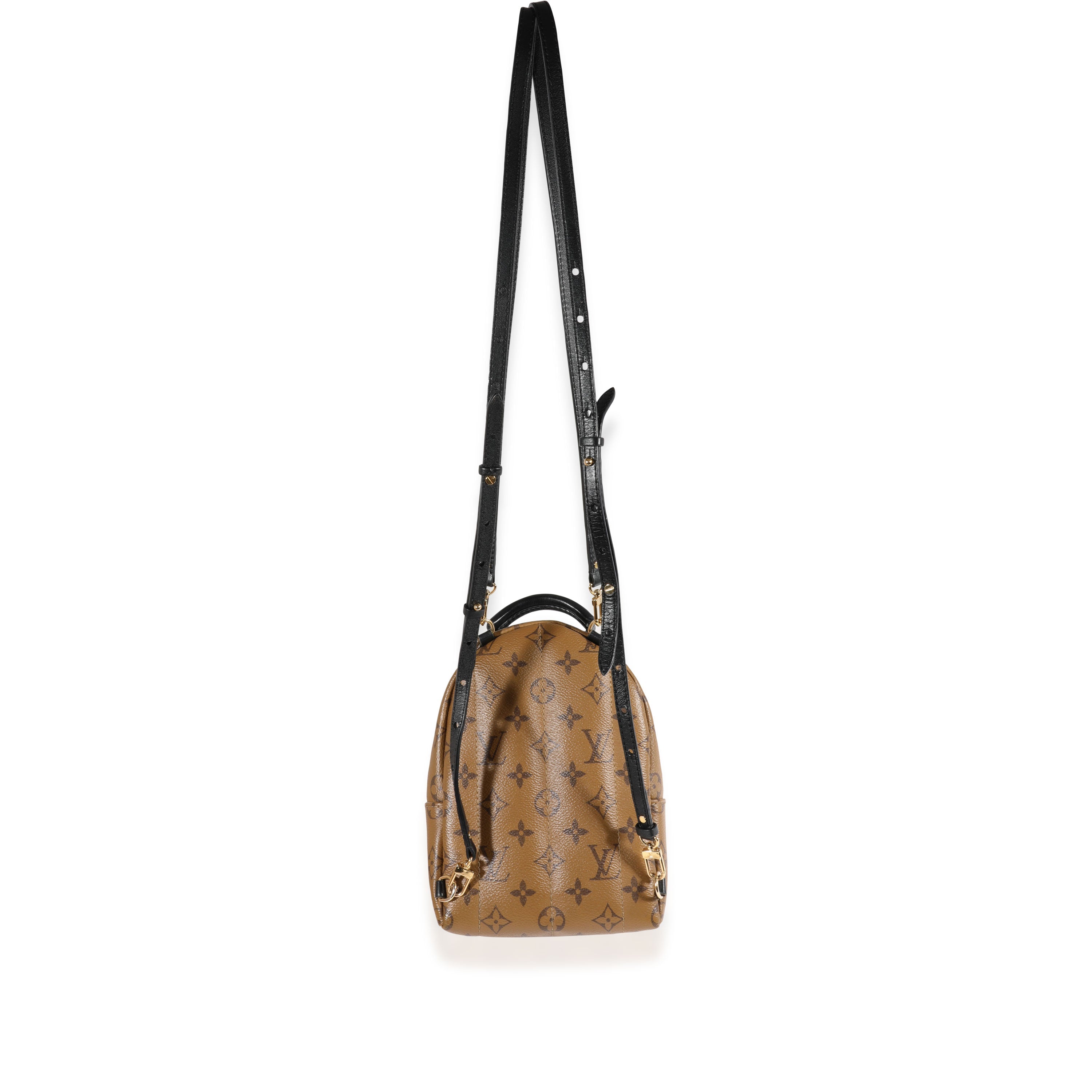 Louis Vuitton Louis Vuitton Monogram Reverse Palm Springs Mini Backpack