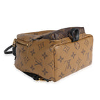 Louis Vuitton Louis Vuitton Monogram Reverse Palm Springs Mini Backpack