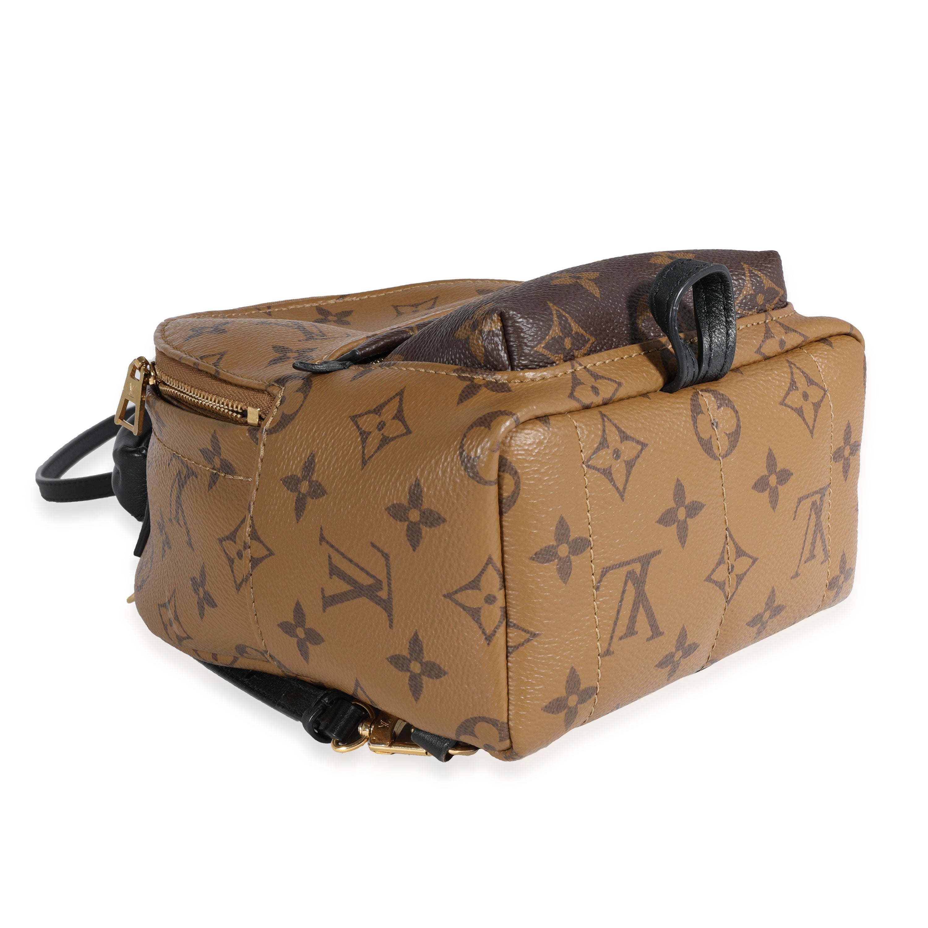 Louis Vuitton Louis Vuitton Monogram Reverse Palm Springs Mini Backpack