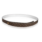 Louis Vuitton LV Pool Party Reversible Belt 46